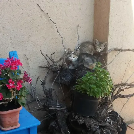 Oteros 2* Pajares de los Oteros