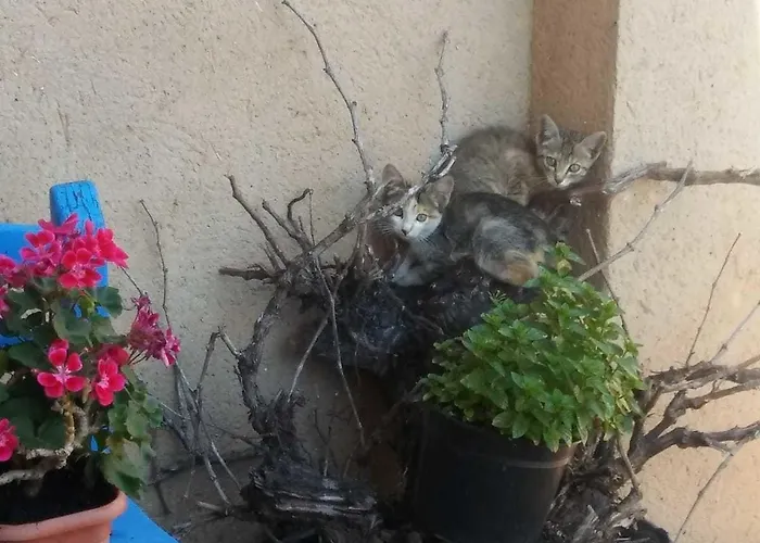 Oteros 2* Pajares de los Oteros